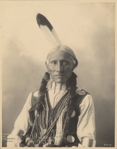 Weißer Büffel, Cheyennes
