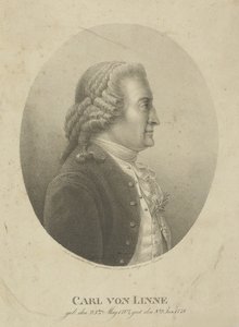 Porträt von Carl Linnaeus 1707-1778, um 1800 von Adolph Friedrich Kunike