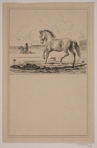 Das Pferd im Wasser. Nr. 22 in Chr. Winther und M. Rørbye, "25 Bilder für kleine Kinder"
