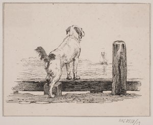 Hund am Strand von Johan Adolph Kittendorff
