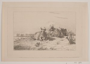 Ruhende Kühe von Johan Adolph Kittendorff