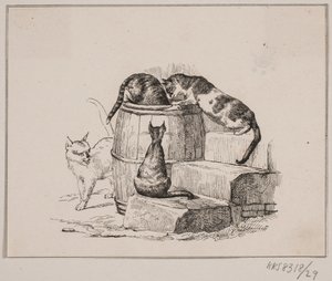 Die Katzen