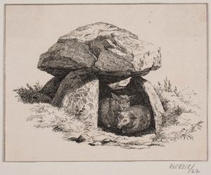 Die Lämmer