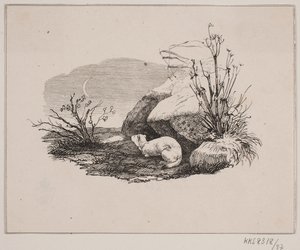 Die Katze