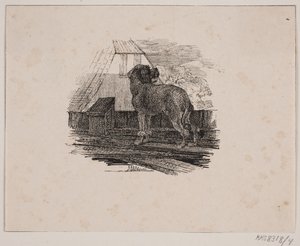 Der Pudel von Johan Adolph Kittendorff