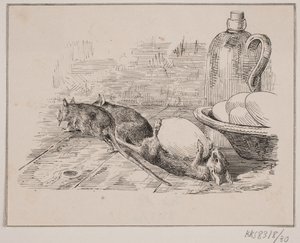 Die Ratten von Johan Adolph Kittendorff