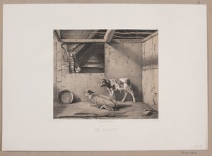 Zwei Kälber von Johan Adolph Kittendorff