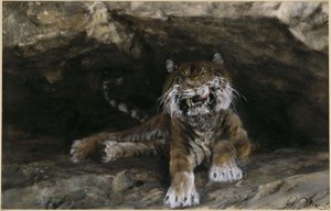 Der Tiger. Aus dem "Kinderalbum" von Adolph Menzel