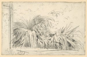 Palmzweig im Fensterrahmen von Adolph Menzel