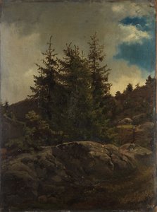 Landschaft von Nes in Hallingdal von Adolph Tidemand