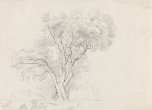 Laubbäume von Adolph Tidemand