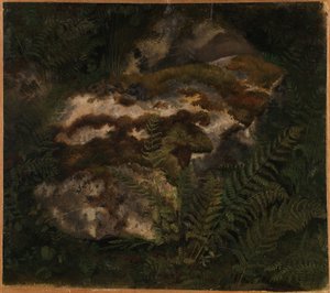  von Adolph Tidemand