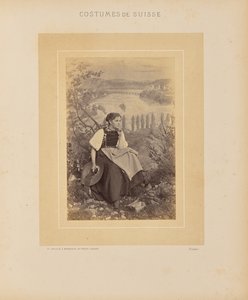 Kanton Schaffhausen von Adolphe Braun