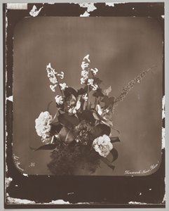 Ohne Titel (Blumenarrangement) von Adolphe Braun
