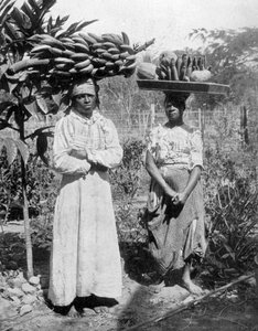 Obstverkäufer, Jamaika, um 1905