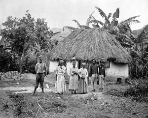 Negerhütte, Jamaika, ca. 1905