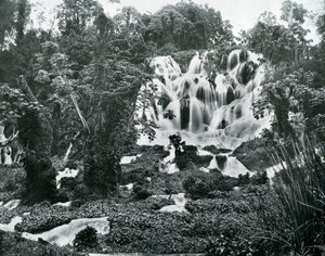 Roaring River Falls, Jamaika, um 1905 von Adolphe Duperly and Son