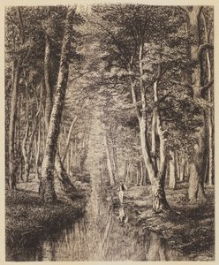 Fluss im Wald von Adolphe Martial Potemont