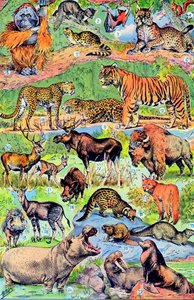 Illustration von Wildtieren, ca. 1923