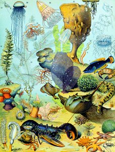 Illustration einer Unterwasserszene, ca. 1923