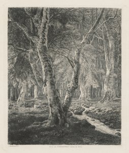 Bois de Pierrefonds von Adolphe Théodore Jules Martial Potémont