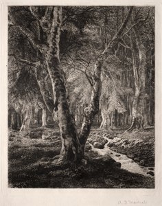 Wald von Pierrefonds von Adolphe Théodore Jules Martial Potémont