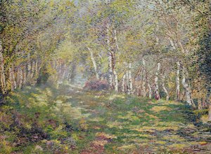 Silberbirken von Adriaan Josef Heymans