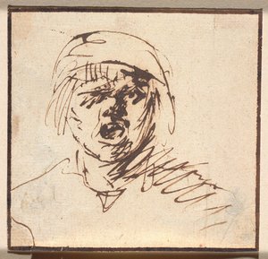 Kopf eines schreienden Jungen von Adriaen Brouwer