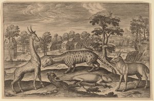 Eine Giraffe, ein Chamäleon, eine Zibetkatze und eine Antilope