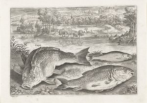 Drei Karpfen am Ufer von Adriaen Collaert