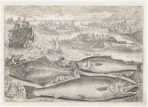 Drei Fische am Strand von Adriaen Collaert