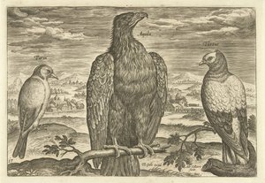 Drei Vögel in einer Landschaft
