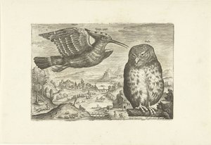 Einige Vögel in einer Landschaft von Adriaen Collaert
