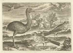 Enkele vogels in een landschap