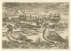 Einige Vögel in einer Landschaft von Adriaen Collaert