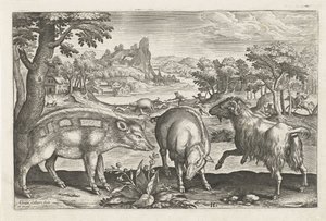 Ziege und Schweine