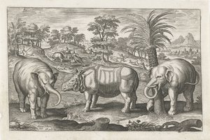 Elefanten und Nashorn