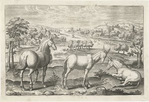 Pferd und Esel von Adriaen Collaert