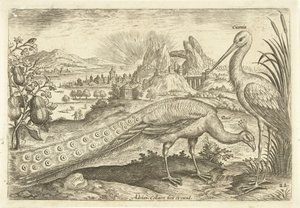 Zwei Vögel in einer Landschaft von Adriaen Collaert