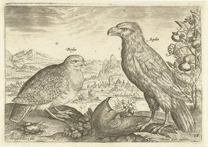 Zwei Vögel in einer Landschaft (Avivm Vivae) (Vögel)