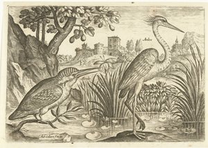 Zwei Vögel in einer Landschaft von Adriaen Collaert
