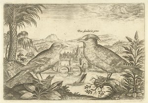 Zwei Vögel in einer Landschaft von Adriaen Collaert
