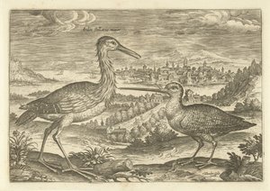 Zwei Vögel in einer Landschaft