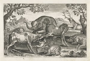 Kämpfende Tiere
Vierbeinige Tiere (Serientitel)
Animalivm Qvaddrvpedvm (Serientitel)