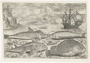 Vier Fische am Strand von Adriaen Collaert