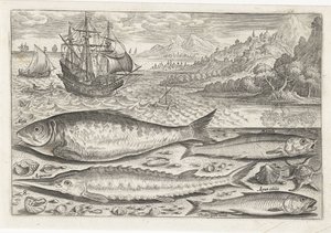 Vier vissen auf dem Strand von Adriaen Collaert