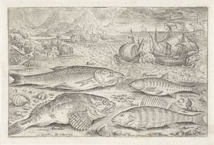 Vier vissen auf dem Strand von Adriaen Collaert