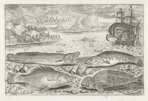 Vier Fische am Strand von Adriaen Collaert