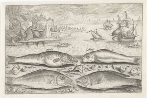 Vier Fische am Strand von Adriaen Collaert