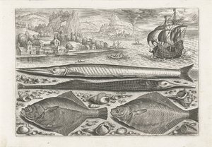 Vier Fische am Strand von Adriaen Collaert